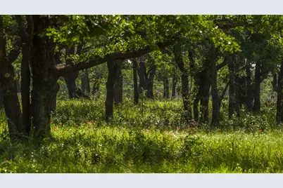 Tbd County Road 126, Gordon, TX 76453 - Photo 5