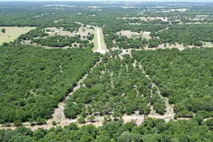138 Gobbler Rd, Nocona, TX 76255 - Photo 33