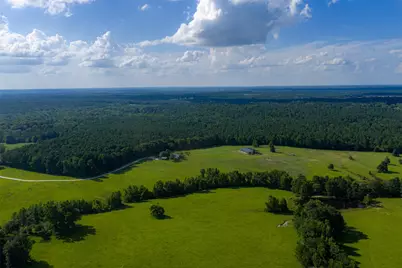 2030 County Road 1640, Grapeland, TX 75844 - Photo 5