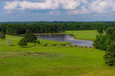 2030 County Road 1640, Grapeland, TX 75844 - Photo 19