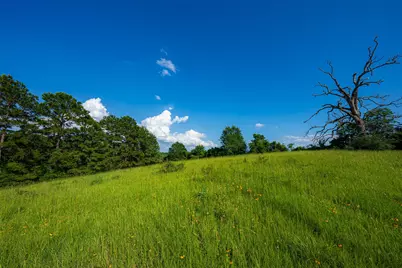 2030 County Road 1640, Grapeland, TX 75844 - Photo 23