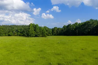 2030 County Road 1640, Grapeland, TX 75844 - Photo 7