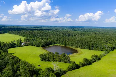 2030 County Road 1640, Grapeland, TX 75844 - Photo 21