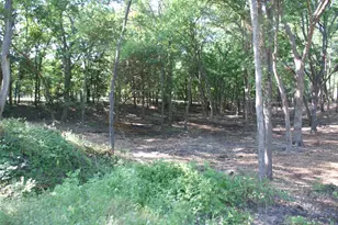 Cr 3713 County Road 3713, Quinlan, TX 75474 - Photo 1