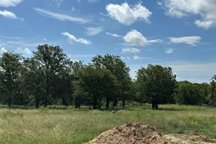 570 Big Salty Ln, Springtown, TX 76082 - Photo 3