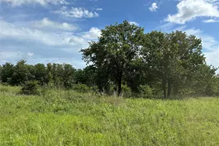 570 Big Salty Ln, Springtown, TX 76082 - Photo 19