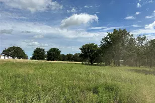 570 Big Salty Ln, Springtown, TX 76082 - Photo 27