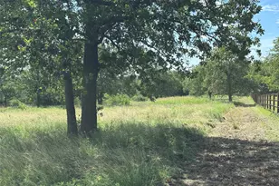 570 Big Salty Ln, Springtown, TX 76082 - Photo 5