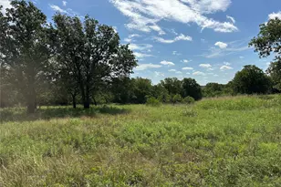 570 Big Salty Ln, Springtown, TX 76082 - Photo 29