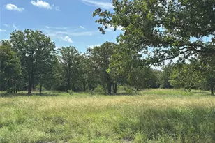 570 Big Salty Ln, Springtown, TX 76082 - Photo 1