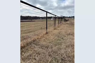 11321 Wild Rose Lane, Anna, TX 75409 - Photo 17