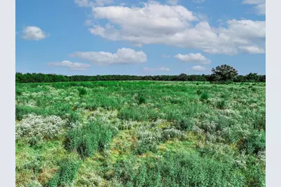 12.69 Acres S Farm Road 269 S, Saltillo, TX 75478 - Photo 7