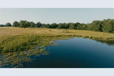 0000 County Road 3908, Wills Point, TX 75169 - Photo 7