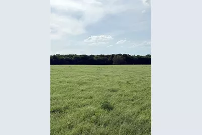580 Vz County Road1819, Grand Saline, TX 75140 - Photo 5