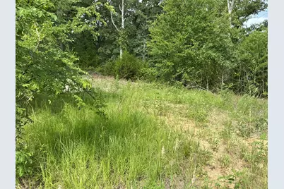 175 Chillacothe Trail, Mabank, TX 75156 - Photo 5