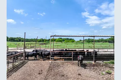 270 Farm Road 2560, Sulphur Springs, TX 75482 - Photo 23
