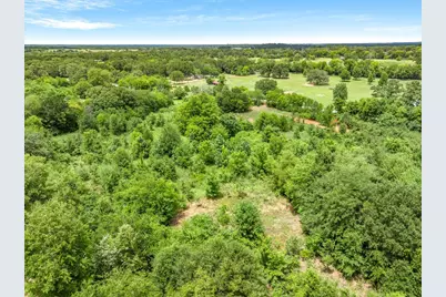 Lot 21 Vz County Road 1205, Canton, TX 75103 - Photo 3
