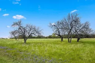 19064 White Bluff Dr, Whitney, TX 76692 - Photo 1