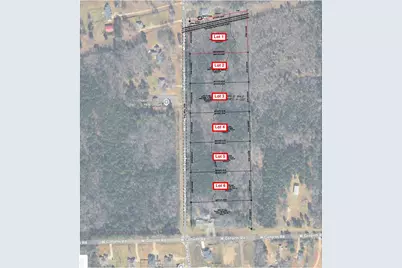 Tbd Mt Pisgah Road, Kilgore, TX 75662 - Photo 3