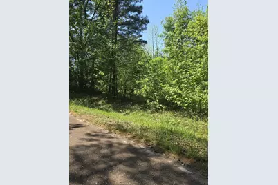 Tbd County Road 421, Tyler, TX 75704 - Photo 3