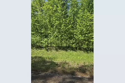 Tbd County Road 421, Tyler, TX 75704 - Photo 9