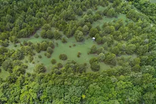 1070 Co Rd 3030, Bonham, TX 75418 - Photo 35