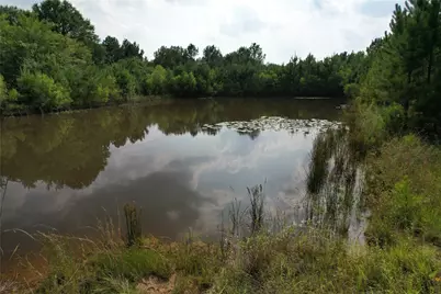 1847 N State Highway 19 Highway, Emory, TX 75440 - Photo 37