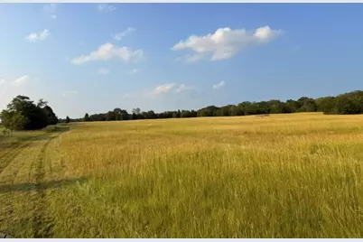 Tbd County Road 2500, Eustace, TX 75124 - Photo 27