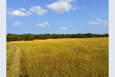 Tbd County Road 2500, Eustace, TX 75124 - Photo 3