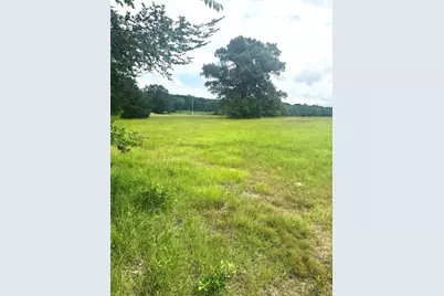 Tbd Belles Lane, Brownsboro, TX 75756 - Photo 5