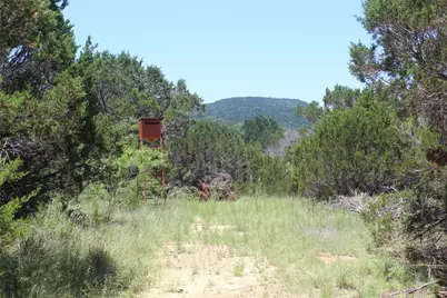 5234 S Fm 4 Road, Palo Pinto, TX 76484 - Photo 3