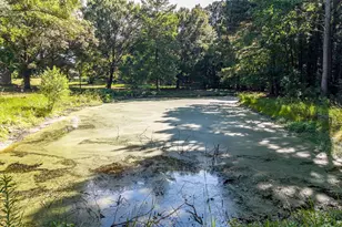 20388 County Rd 150, Flint, TX 75762 - Photo 37