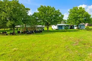 900 County Rd 42400, Paris, TX 75462 - Photo 19