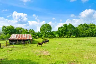 900 County Rd 42400, Paris, TX 75462 - Photo 17