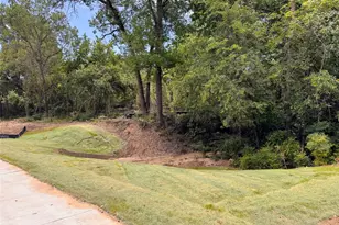 Lot 17 Tbd Pardise Cove Rd, Lakeside, TX 76108 - Photo 1