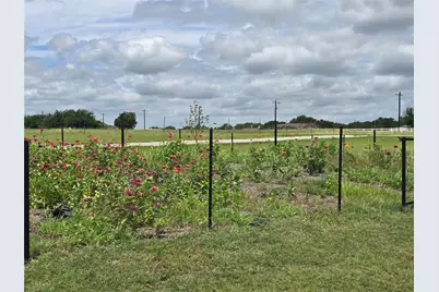 2462 McConnell Road, Gunter, TX 75058 - Photo 33