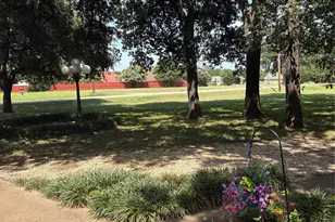 14034 Vida Ln, Dallas, TX 75253 - Photo 5