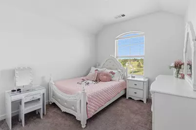 3601 Palmetto Avenue, Aubrey, TX 76227 - Photo 27