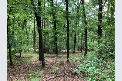 300 & 301 NE Misty Glen Road, Holly Lake Ranch, TX 75765 - Photo 1