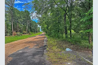 7485 County Road 3907, Athens, TX 75752 - Photo 3