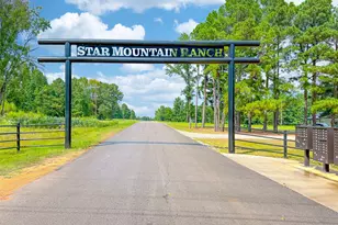 Lot 32 Creek Bottom Ct, Winona, TX 75792 - Photo 1