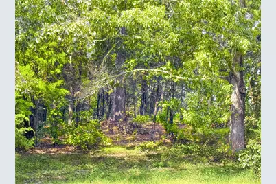 Lot 32 Creek Bottom Court, Winona, TX 75792 - Photo 3