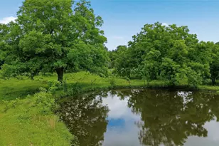 1603 Texas Hwy 154, Cooper, TX 75432 - Photo 23