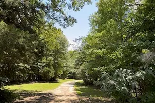 16912 FM 44, Avery, TX 75554 - Photo 29