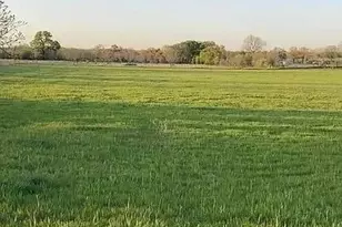 Lot 1 County Road 3424, Bridgeport, TX 76426 - Photo 1