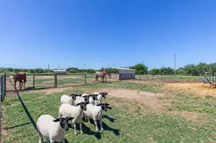 427 Meadow Ln, Abilene, TX 79602 - Photo 3