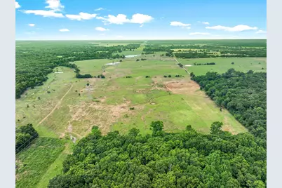 40.72 Acres Vz County Road 4503, Ben Wheeler, TX 75754 - Photo 13