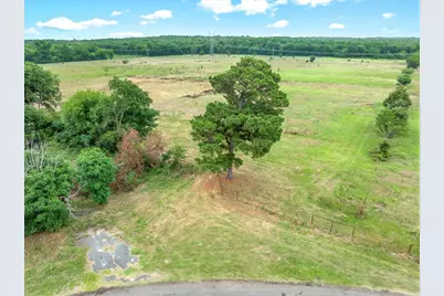 40.72 Acres Vz County Road 4503, Ben Wheeler, TX 75754 - Photo 3