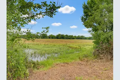 Tbd 24.25 Acres Fm 1749, Forestburg, TX 76239 - Photo 7