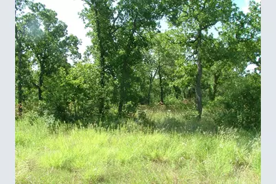 Lot 386 Moonlight Bay Drive, Chico, TX 76431 - Photo 9